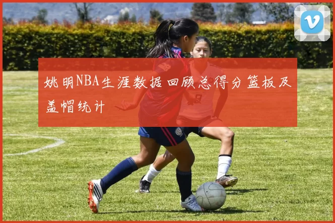 姚明NBA生涯数据回顾总得分篮板及盖帽统计