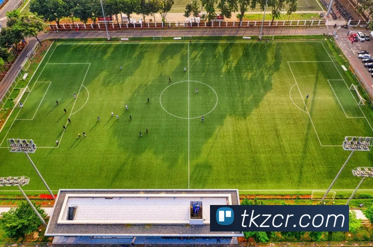 多媒体互动体验